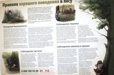 P1040343.JPG